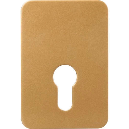 plaque renfort verrou cp exem