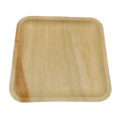 10 assiettes à dîner réutilisables - arecabio