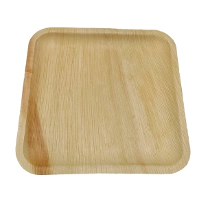 10 assiettes à dîner réutilisables - arecabio