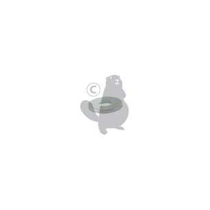 rondelle plate diamètre 5mm, origine stiga.