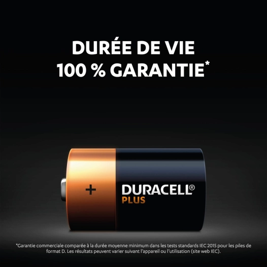 Pile duracell plus 100% LR20 x4