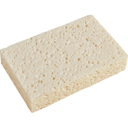 sachet de 10 éponges azella