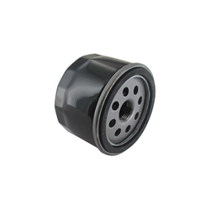 filtre à huile adaptable pour moteurs briggs & stratton: 21r807-0062-b5, 21r877-0015-b1, 31r507-0002-b1, 31r507-0011-b5, 31r577-
