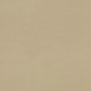 Papier peint stock DELZONGLE Collection PRIMA 2023 référence 4005 - DELZONGLE