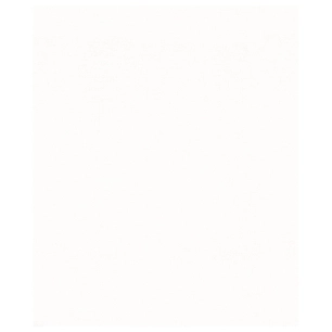 Papier peint stock DELZONGLE Collection PRIMA 2023 référence 4053 - DELZONGLE