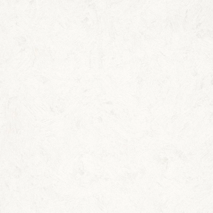 Papier peint stock DELZONGLE Collection PRIMA 2023 référence 4103 - DELZONGLE