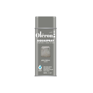Aérosol TECHNIMA Aquaspray Oléron gris béton satiné 400ml - TECHNIMA