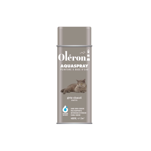 Aérosol TECHNIMA Aquaspray Oléron gris chaud satiné 400ml - TECHNIMA