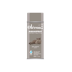 Aérosol TECHNIMA Aquaspray Oléron gris chaud satiné 400ml - TECHNIMA