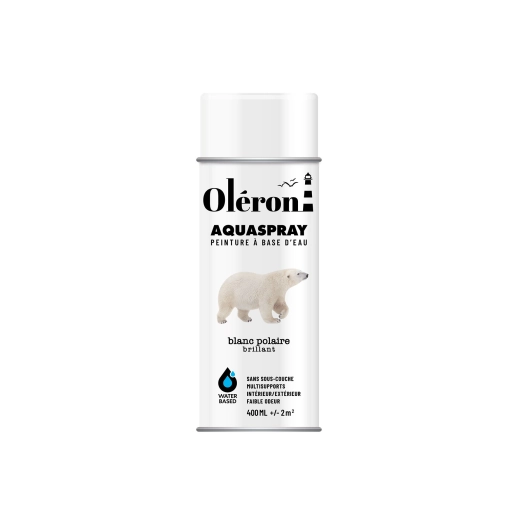 Aérosol TECHNIMA Aquaspray Oléron brillant blanc polaire 400ml - TECHNIMA