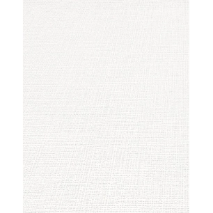 Papier peint stock DELZONGLE Collection BATIPLUS 2023 référence 8038 - DELZONGLE