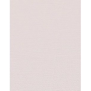 Papier peint stock DELZONGLE Collection BATIPLUS 2023 référence 8040 - DELZONGLE