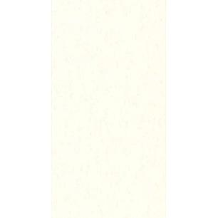 Papier peint stock DELZONGLE Collection BATIPLUS 2023 référence 8081 - DELZONGLE