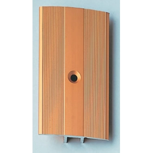 Seuil dénivelé PPS ROMUS 0,90m 1260 alu or - ROMUS