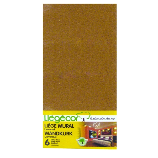 Liege Tableau - Lotx6 Dalles 60x30 - LATTIERE LANDOUZY