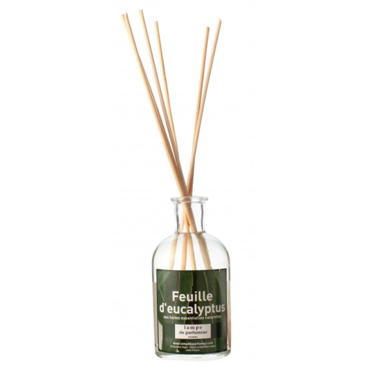 6 bambous parfumés feuille d'eucalyptus 100ml - lampe du parfumeur