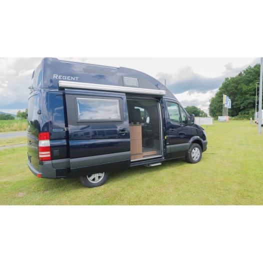 moustiquaire de porte en plissé remicare van sprinter/crafter - remis