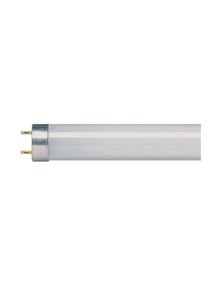 Tube fluo dhome g13 18w - DHOME