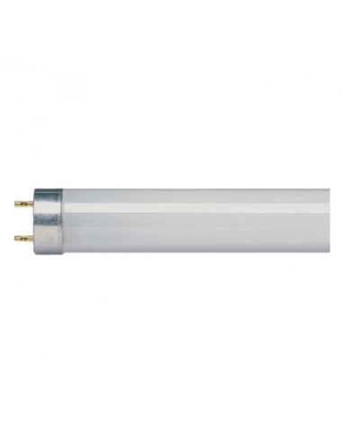 Tube fluo standard g13 blanc froid 58 1500 x 26 5220