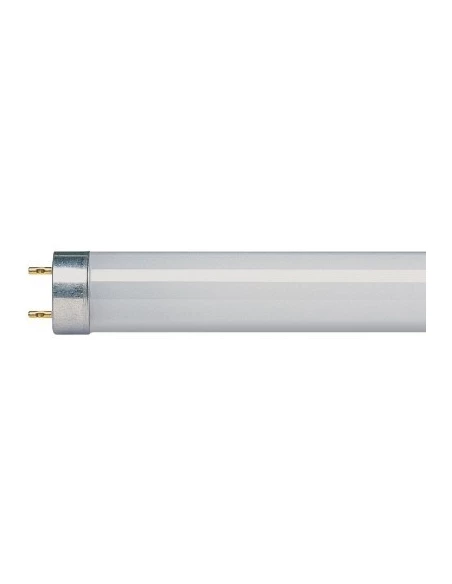 Tube fluo standard g5 blanc froid 35 1449 x 16 3290