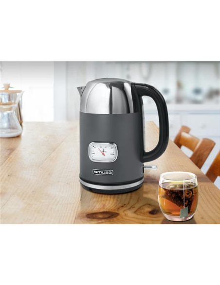 1,7 L-2200 W-Cadran rétro - Arrêt auto-Filtre antitartre amovible-Gris inox - MUSE