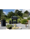 cook in garden barbecue gaz - burn - am253t - cook in garden
