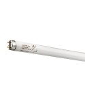 Tube fluorescent T8 36W 1200mm G13