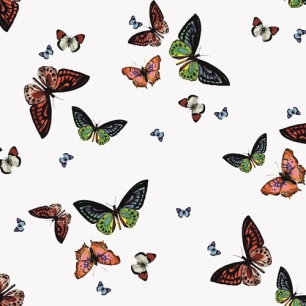 cristal rouleau paradiso lilith 30mx140cm - d-c-table