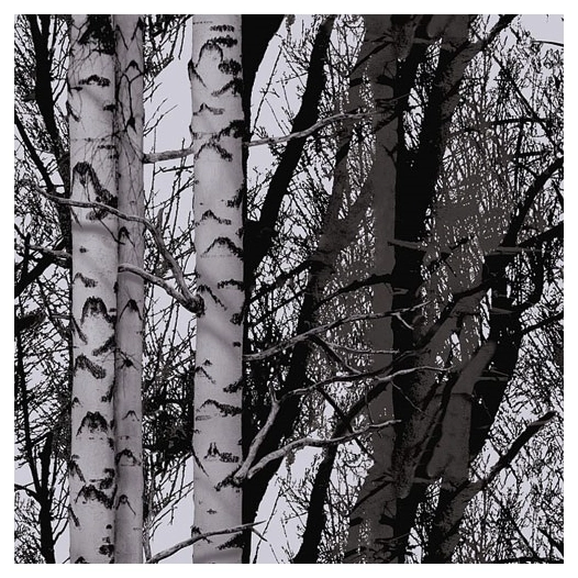 film rouleau static premium wood 15mx67.5cm - d-c-fix