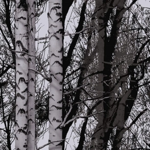 film rouleau static premium wood 15mx67.5cm - d-c-fix