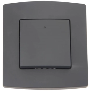 interrupteur bi-polaire 1 module 10a noir - profile