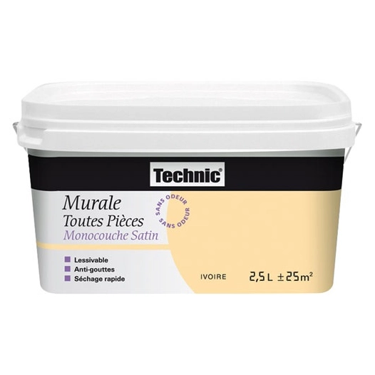 murale toutes pièces monocouche satin 2.5l orchidée - technic