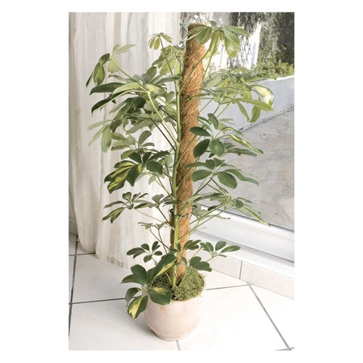 tuteur coco 1m - nortene