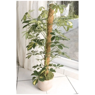 tuteur coco 1m - nortene