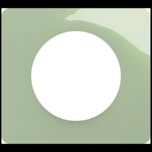 céliane plaque 1p vert céladon - legrand