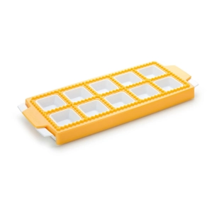 moule pour 10 raviolis carrés delicia