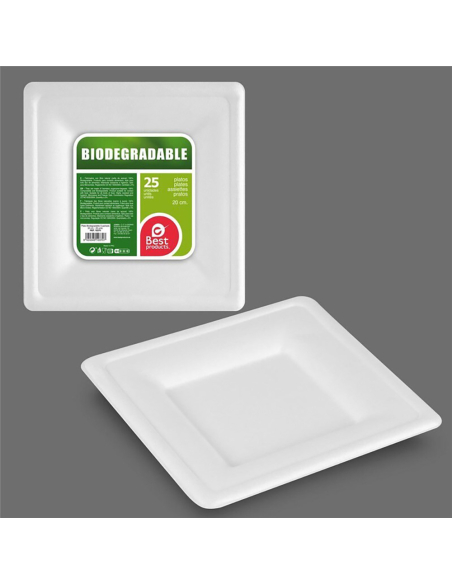 Assiette Carrée Biodégradable Écologique & Pratique - BEST PRODUCTS
