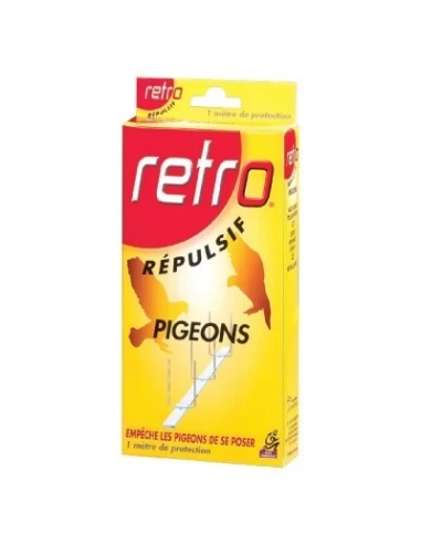 Pigeons 6 bandes 15 cm