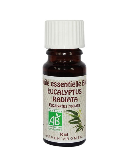 huile essentielle 10 ml eucalyptus radiata - bio - ceven aromes