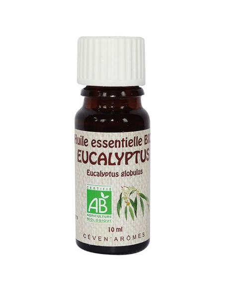huile essentielle 10 ml eucalyptus - bio - ceven aromes