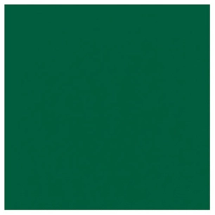 lot 20 serviettes 33 x 33 cm vert foncé - duni