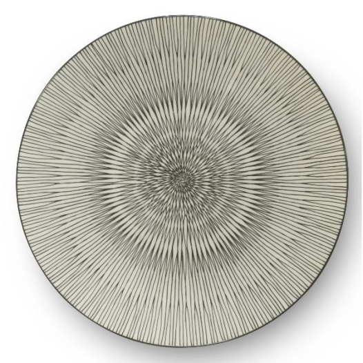 6 assiette plate 27 cm - hypnose - medard de noblat