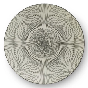 6 assiette plate 27 cm - hypnose - medard de noblat