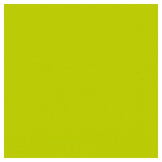 lot 20 serviettes 33 x 33 cm kiwi - duni