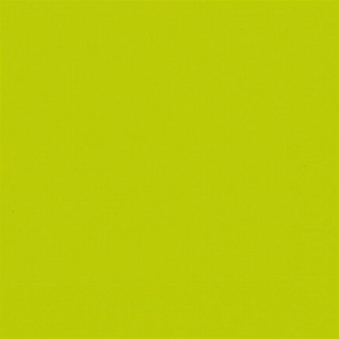 lot 20 serviettes 33 x 33 cm kiwi - duni