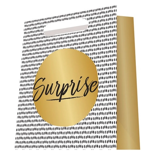 sac cadeau luxe poignée cordelière 18x23cm - papeterie du poitou