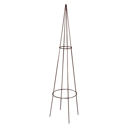 tuteur-tipi classique 20x100cm fer vieilli - louis moulin