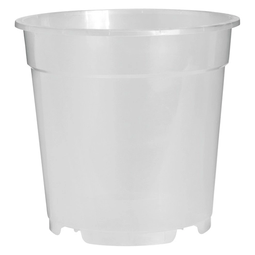 pot orchidée 12cm transparent - florus