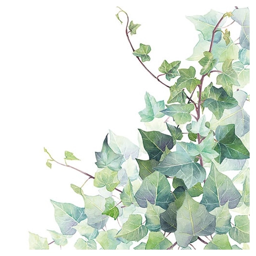 lot 20 serviettes en papier 33 x 33 cm - feuilles de lierre - ambiente