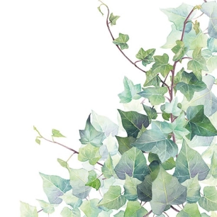 lot 20 serviettes en papier 33 x 33 cm - feuilles de lierre - ambiente